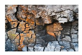 Fishtank or Enclosure Background | Reverse Print Orange and Grey Rough Rock