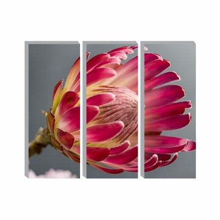 Canvas Puzzle Protea Theme