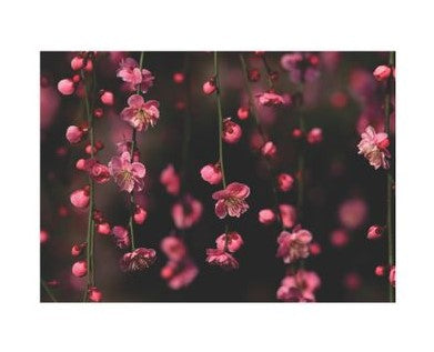 Flatlay Flower Themed