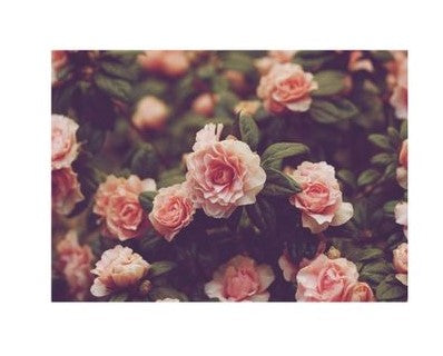 Flatlay Flower Themed