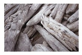 Fishtank or Enclosure Background | Reverse Print Dry Wood