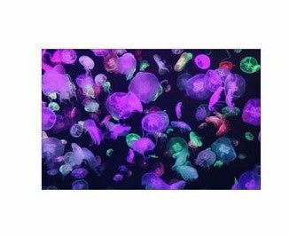 Fishtank or Enclosure Background  | Reverse Print Jelly Fish