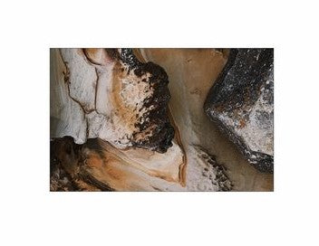 Fishtank or Enclosure Background | Reverse Print Brown Rock and Sand